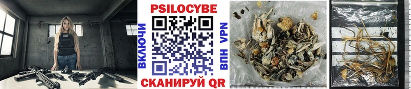Галлюциногенные грибы GOLDEN TEACHER  Данилов 